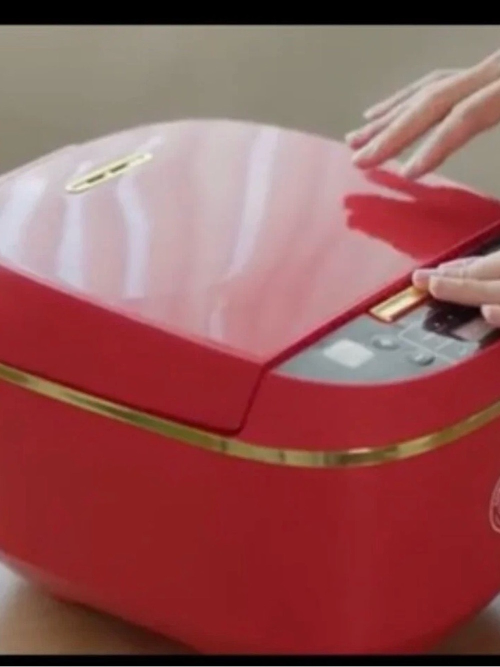 Red Automatic Rice Cooker & Dumpling Press Set - Picture 3 of 10
